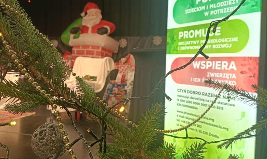 Mikołajki z „Drzewkiem Szczęścia”